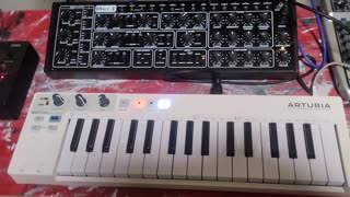 Behringer Pro-1 +RD6