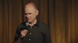 Domestic Shorthair-Todd Barry