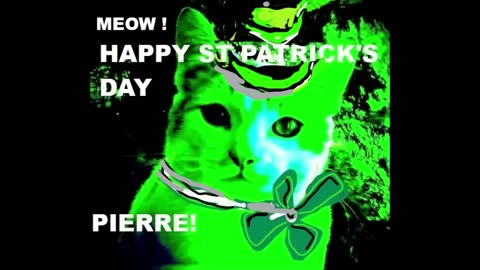 Saint Patrick Cat