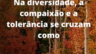 #compaixãoetolerância