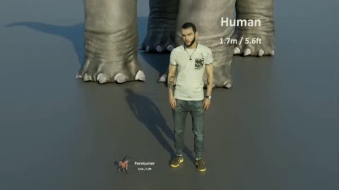 Smallest Dinosaur vs Biggest Dinosaur Size Comparison | 3D Animation Comparison