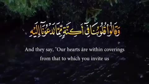 Quran Recitation Whatsapp Status Video Download , Full Screen_12