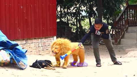 Fake Tiger Vs Dog Prank: The Ultimate Test of Laughter!
