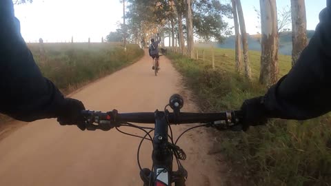 Loose Cow Charges Biker