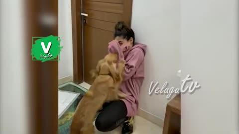 Actress Rashmika Mandanna Playing With Her Pet Dog | Rashmika Mandanna Viral Videos