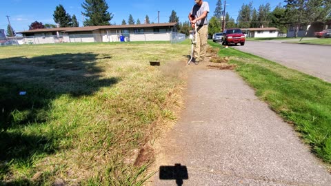 Overgrown Sidewalk Hasn't Been EDGED In 10 YEARS | Satisfying TRANSFORMATION