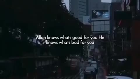 Quran Recitation Whatsapp Status Video Download , Full Screen
