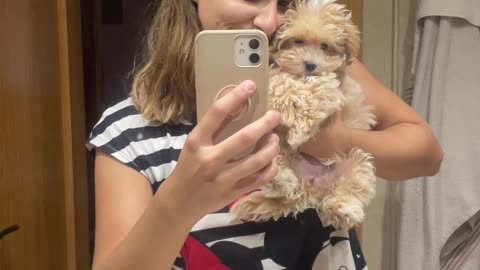 Maltipoo puppy with her owner