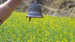 Himalayan bell