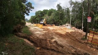 Forest trails and digging