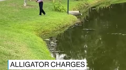 A man visiting Hilton Head, South Carolina, captured moment a fisherman was charged by an alligator