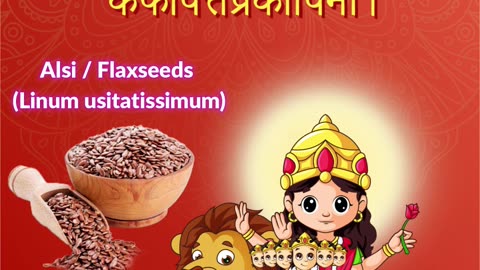 Jai Maa Skandmata- Navratri Day 5 | Alsi / Flaxseeds (Linum usitatissimum) Benefits- Associated Herb
