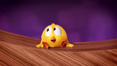 Where's Chicky Funny Chicky RODEO Chicky Cartoon in English for Kids