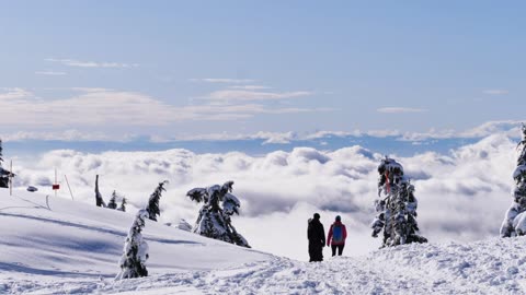 People walking on the snowy summit