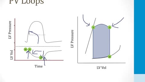 Cardiology - 1. Anatomy and Physiology - 6.Pressure Volume Loops