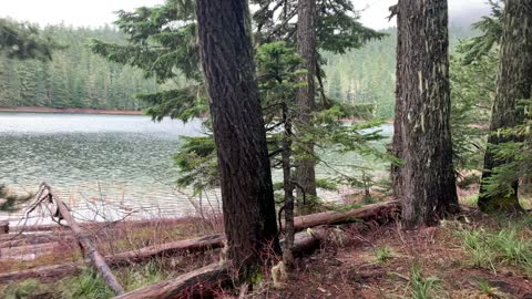 Lakeshore Forest Hiking – Mount Hood National Forest – Oregon – 4K