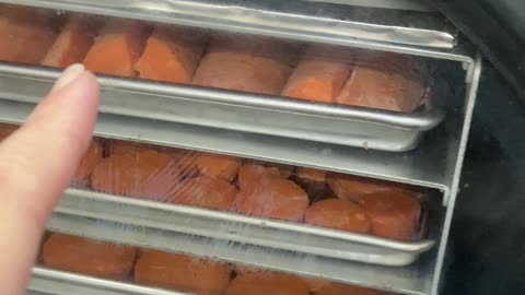 Freeze Drying Carrots!