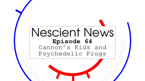 Episode 64: Cannon’s Kids and Psychedelic Frogs