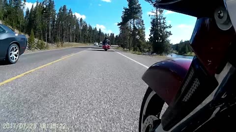 INSIDE YELLOWSTONE PART 5... MEET THE KING OF THE ROAD