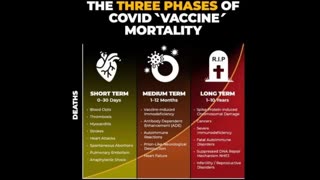 3 phases of covid jab mortality