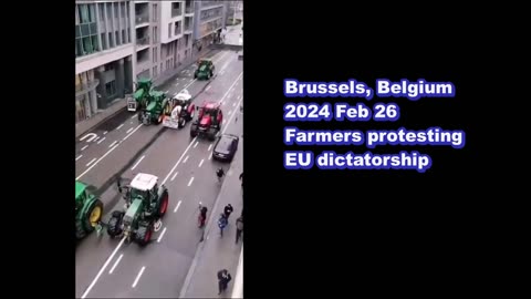 Farmers EU protests 2024 Feb 26