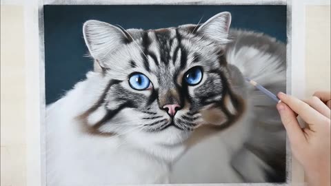 Photo Realistic Cat Drawing/ color Pastel Pencil Animal Art.