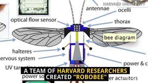 Micro-Robot Could Replace Bees