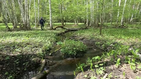 How to build HOUSE UNDERGROUND from START to FINISH 15 days in the forest. WOODWORKING