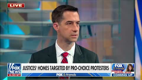 COTTON: 'When Democrats Don't Get What They Want, They Destroy the Institution'