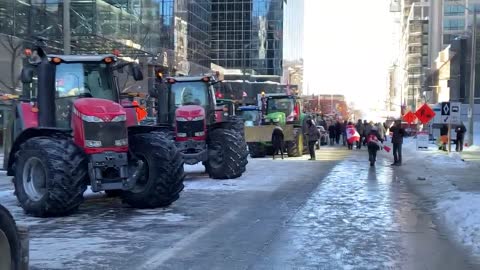 Truckers Freedom Convoy: Farmers show their support to the Truckers Convoy.