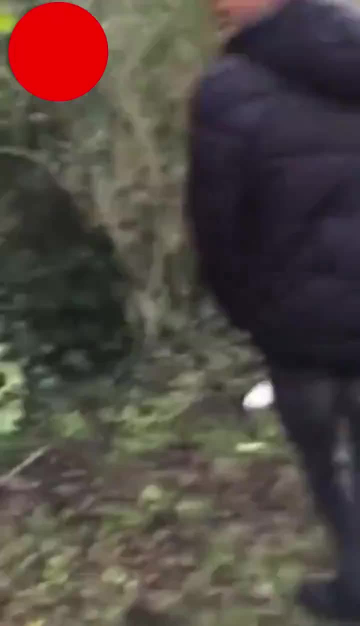 Immigrants humiliate a European boy and take him into woods to beat him.