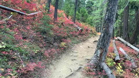 Eastern Oregon – Strawberry Lake + Wilderness – Vibrant Fall Colors!