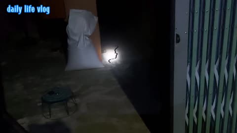 The snake entered the midnight molding house dangerously