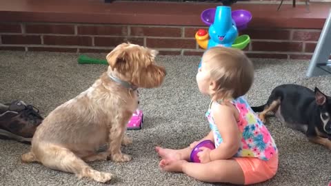 The funny babby play with the dog