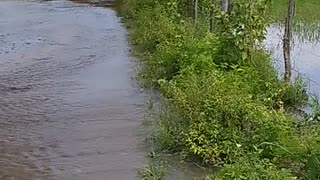 Muita chuva no ceará nesse ano de 2023