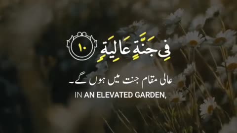 New Islamic video with beautiful Quran tilawat