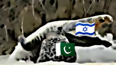 Palestine 🇵🇸♥️🇵🇰 #shorts #sigma #viral #freepalestine #pakistan #trending