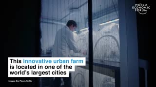 This London insect farm is changing the way we eat |