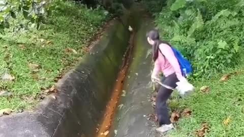 Woman distracts snake from chasing duckat Bukit Timah Hill