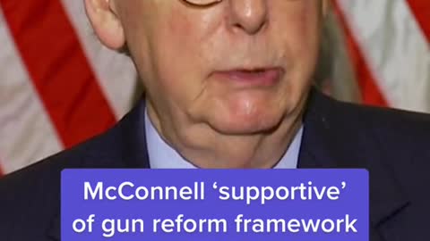 The bipartisan gun reform framework includes an “enhanced review