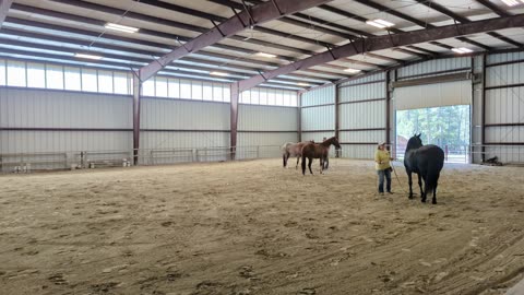 Farrah Horsemanship Clinic 2023 #8