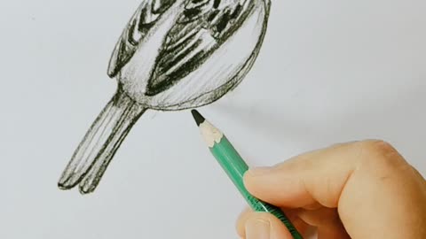 How to draw bird painting handmade Drawing.. #rumble #viral #bird #views #ads