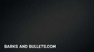 Barks and Bullets-Intro