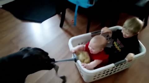 Baby and Dog Have Fun