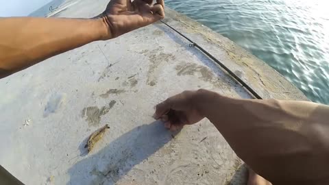 Mancing ikan monster