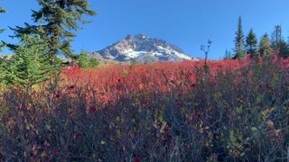 Oregon – Mount Hood – Enjoying the Beautiful Fall Colors & Views – 4K