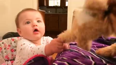 Funny dogs video 😍😃.babies playing with dogs.