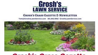 Grosh's Grass Gazette April 2023 Video E Newsletter