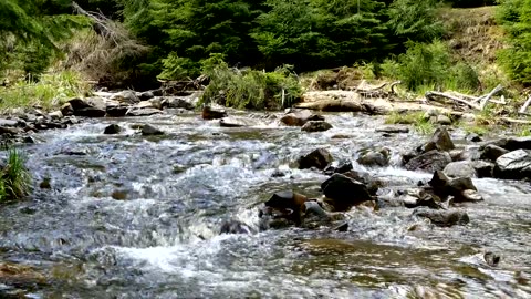Mountain River Serenity: Nature's Melodic Journey"