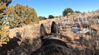 Exploring the Arizona desert